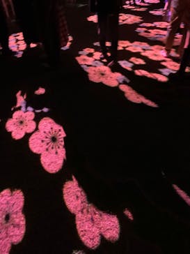 偕楽園本園に投稿された画像（2023/3/4）