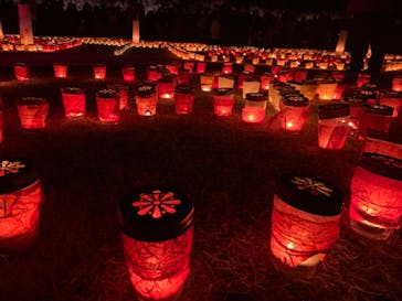 偕楽園本園に投稿された画像（2023/3/4）