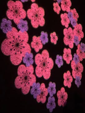 偕楽園本園に投稿された画像（2023/3/4）