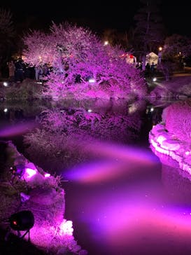 偕楽園本園に投稿された画像（2023/3/4）