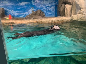 マリンワールド海の中道に投稿された画像（2023/3/4）