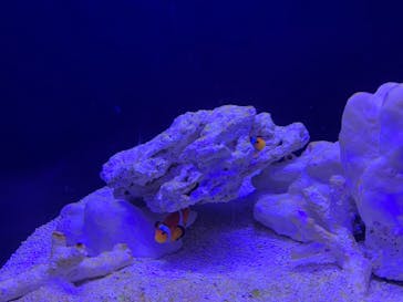 マリンワールド海の中道に投稿された画像（2023/3/4）