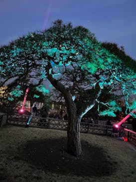 偕楽園本園に投稿された画像（2023/3/4）