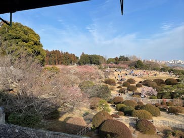 偕楽園本園に投稿された画像（2023/3/5）