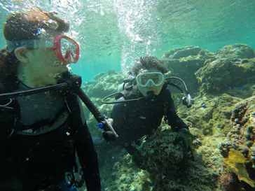 武藤潜水に投稿された画像（2023/3/5）