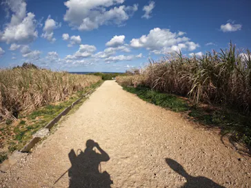 武藤潜水に投稿された画像（2023/3/5）