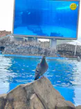 名古屋港水族館に投稿された画像（2023/3/5）