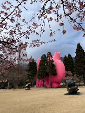 彫刻の森美術館に投稿された画像（2023/3/5）