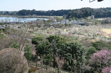 偕楽園本園に投稿された画像（2023/3/5）