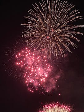 偕楽園本園に投稿された画像（2023/3/5）