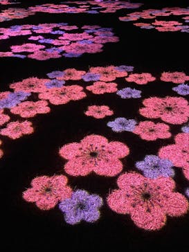 偕楽園本園に投稿された画像（2023/3/5）