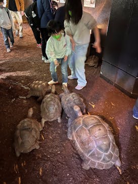 体感型動物園iZooに投稿された画像（2023/3/5）