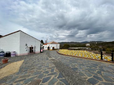 志摩スペイン村パルケエスパーニャに投稿された画像（2023/3/5）