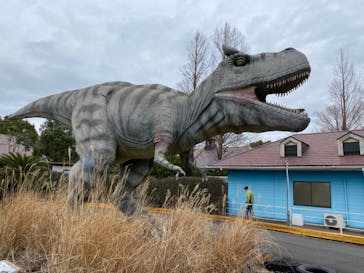 伊豆ぐらんぱる公園に投稿された画像（2023/3/5）