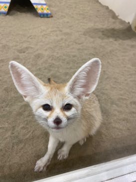 アニタッチみなとみらいに投稿された画像（2023/3/5）