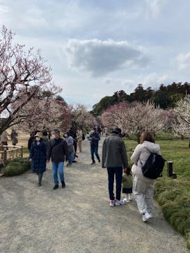 偕楽園本園に投稿された画像（2023/3/5）