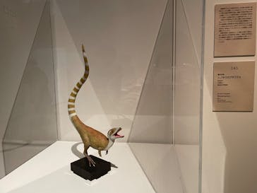 特別展「恐竜図鑑ー失われた世界の想像／創造」に投稿された画像（2023/3/5）
