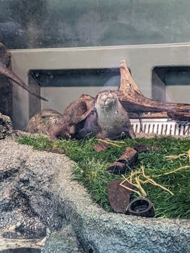 サンシャイン水族館に投稿された画像（2023/3/5）