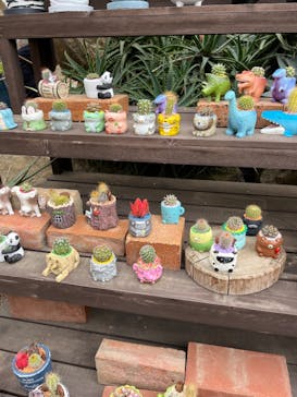 伊豆シャボテン動物公園に投稿された画像（2023/3/5）