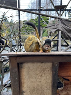伊豆シャボテン動物公園に投稿された画像（2023/3/5）
