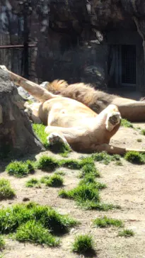 天王寺動物園に投稿された画像（2023/3/5）