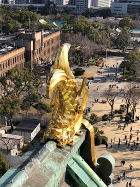 大阪城天守閣に投稿された画像（2023/3/5）
