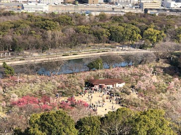 大阪城天守閣に投稿された画像（2023/3/5）