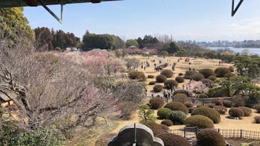 偕楽園本園に投稿された画像（2023/3/5）