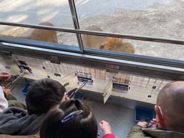 群馬サファリパークに投稿された画像（2023/3/5）