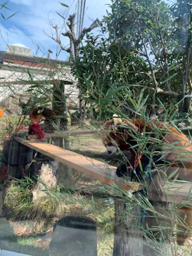 天王寺動物園に投稿された画像（2023/3/5）