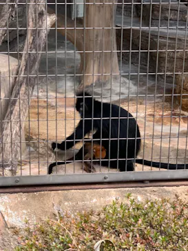 天王寺動物園に投稿された画像（2023/3/5）