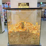 土肥金山に投稿された画像（2023/3/5）