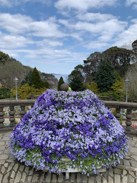 ACAO FORESTに投稿された画像（2023/3/5）