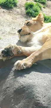 天王寺動物園に投稿された画像（2023/3/5）