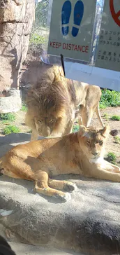 天王寺動物園に投稿された画像（2023/3/5）
