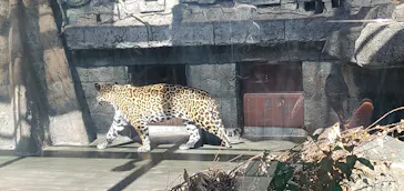 天王寺動物園に投稿された画像（2023/3/5）