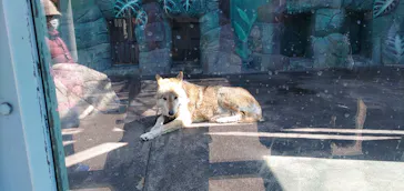 天王寺動物園に投稿された画像（2023/3/5）