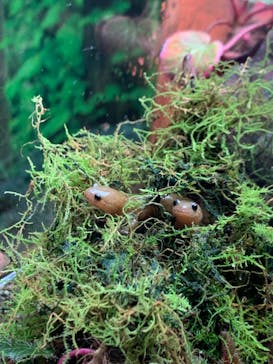 マリンワールド海の中道に投稿された画像（2023/3/5）