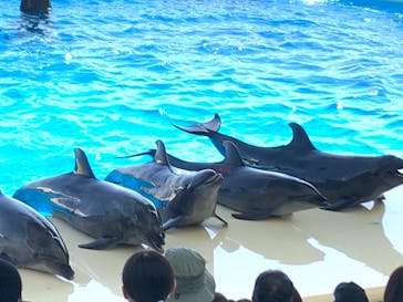 マリンワールド海の中道に投稿された画像（2023/3/5）