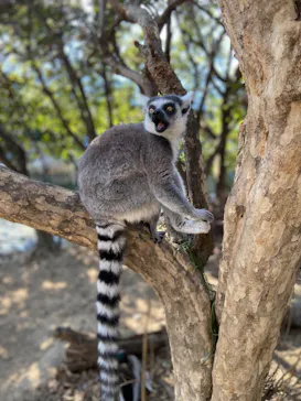 神戸どうぶつ王国に投稿された画像（2023/3/5）