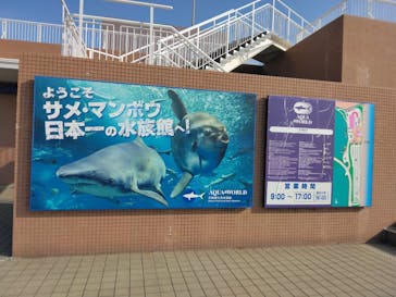 アクアワールド茨城県大洗水族館に投稿された画像（2023/3/5）