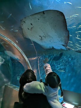 登別マリンパークニクスに投稿された画像（2023/3/5）