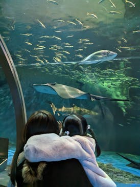 登別マリンパークニクスに投稿された画像（2023/3/5）