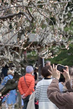 偕楽園本園に投稿された画像（2023/3/5）