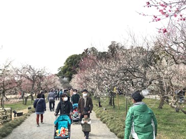 偕楽園本園に投稿された画像（2023/3/5）