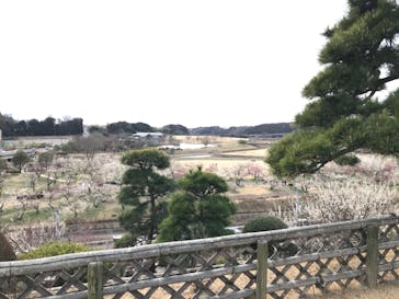 偕楽園本園に投稿された画像（2023/3/5）