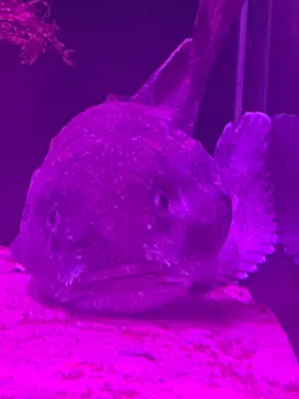 横浜・八景島シーパラダイスに投稿された画像（2023/3/5）