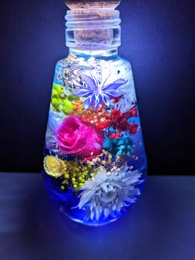 ずこうしつ〜sugamo〜に投稿された画像（2023/3/5）