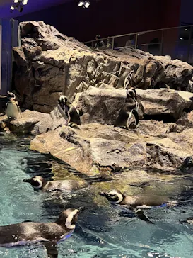 すみだ水族館に投稿された画像（2023/3/5）