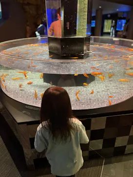 すみだ水族館に投稿された画像（2023/3/5）